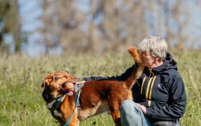 Big Five: Ideale Signale für Deinen Alltag – Praxistraining in Hattingen mit Claudia