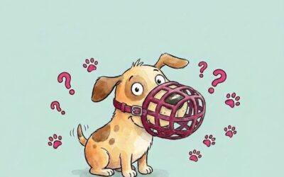 Maulkorb? Braucht mein Hund nicht. Oder doch?